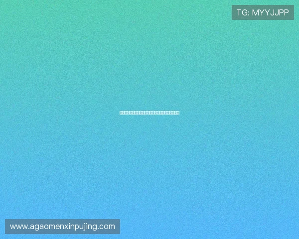 新葡京网页版登录界面优化提升操作便捷性和视觉体验