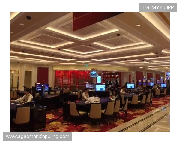 澳门新葡京集团娱乐平台开启全新线上娱乐时代的最佳选择