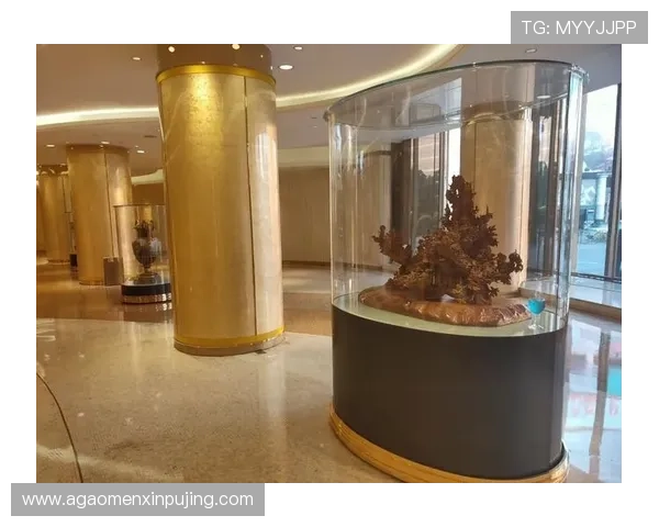 澳门葡京网站稽核未通过导致无法取现的原因及解决方案详解