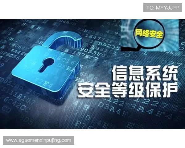 新葡京官方网站安全保障措施详解,确保每位玩家的资金和信息安全 新葡京官方网站安全保障措施详解,确保每位玩家的资金和信息安全