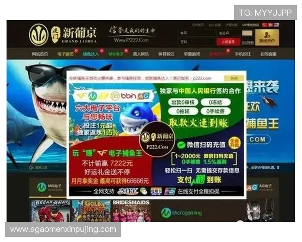新葡京游戏网址官方最新登录入口确保玩家账号安全与游戏体验提升