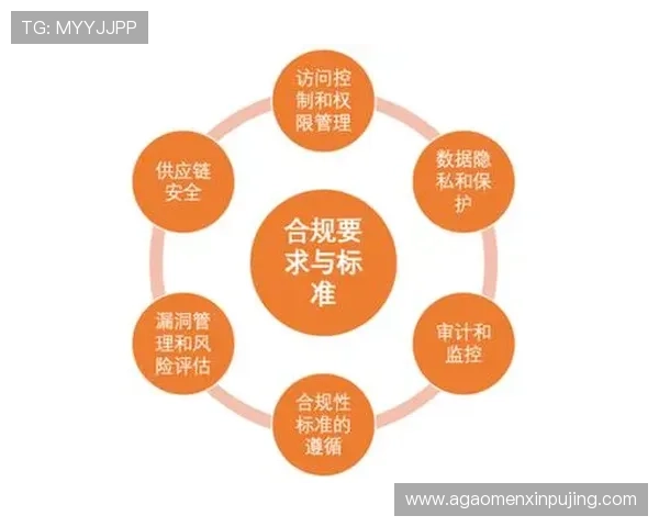 澳门新葡京网站安全合规运营的重要性及实现路径全面分析